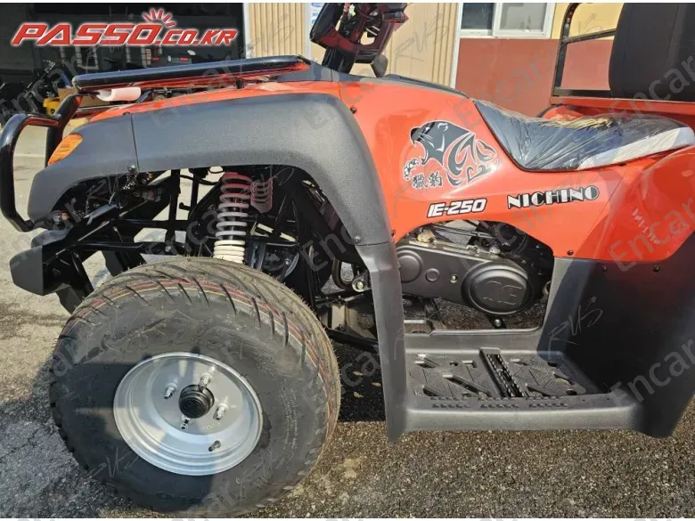 Others Atv - фото 5