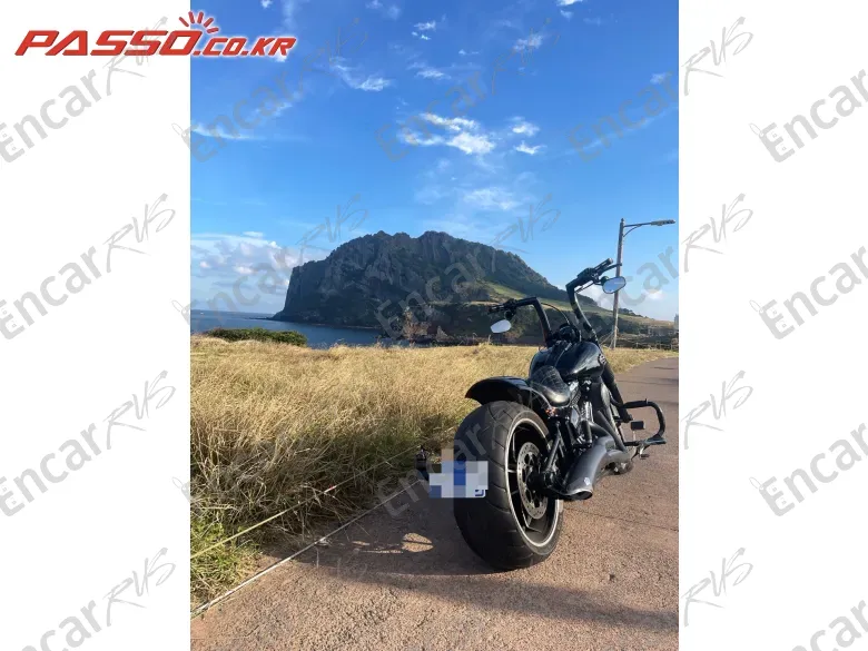 HARLEY-DAVIDSON BREAKOUT - фото 2