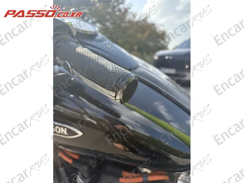 HARLEY-DAVIDSON SOFTAIL SLIM - фото 2