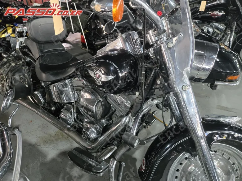 HARLEY-DAVIDSON FLSTF - фото 6