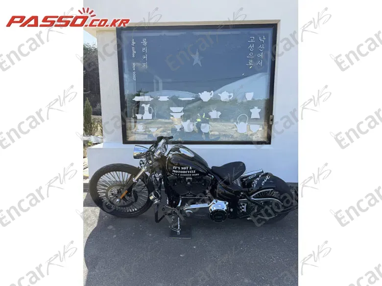 HARLEY-DAVIDSON BREAKOUT - фото 1
