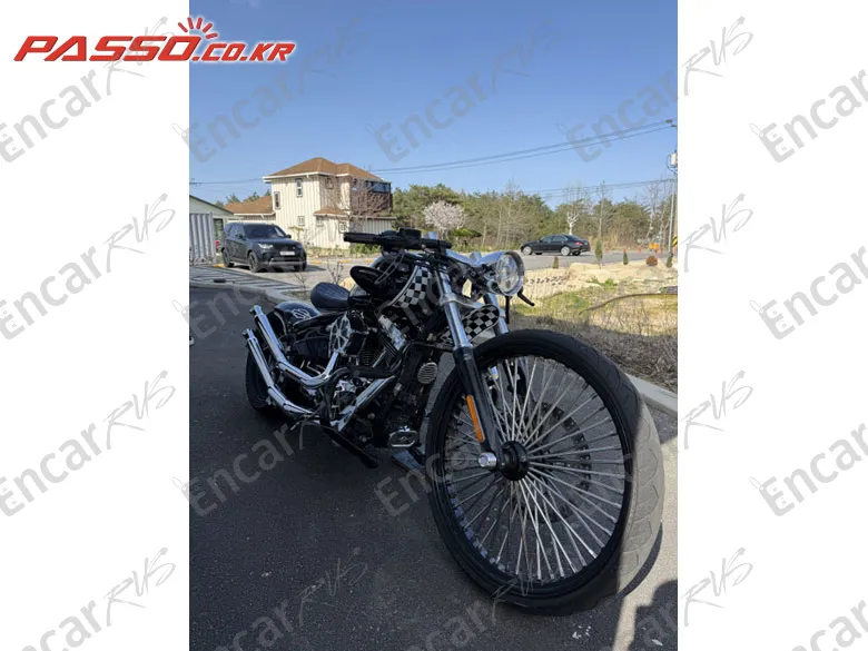 HARLEY-DAVIDSON BREAKOUT - фото 4