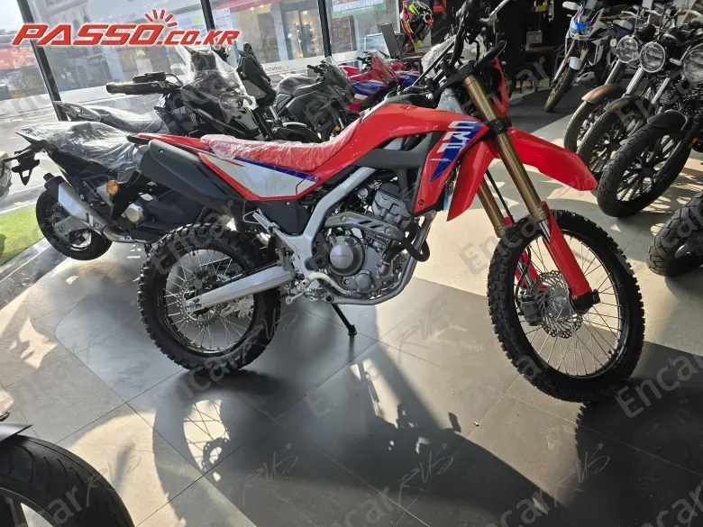 HONDA CRF 300 L - фото 0
