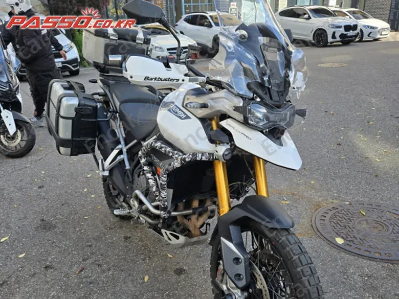 TRIUMPH TIGER 900 RALLY PRO - фото 0
