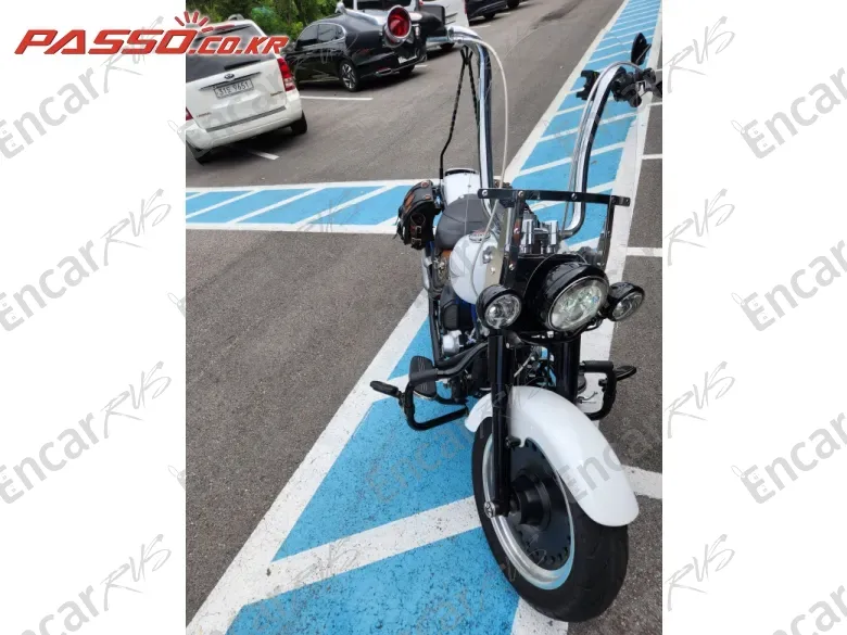 Harley-Davidson Flstc - фото 2
