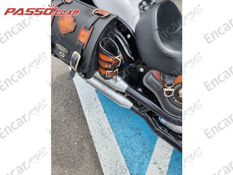 Harley-Davidson Flstc - фото 6