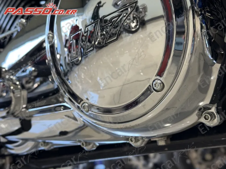 HARLEY-DAVIDSON FLHX - фото 4