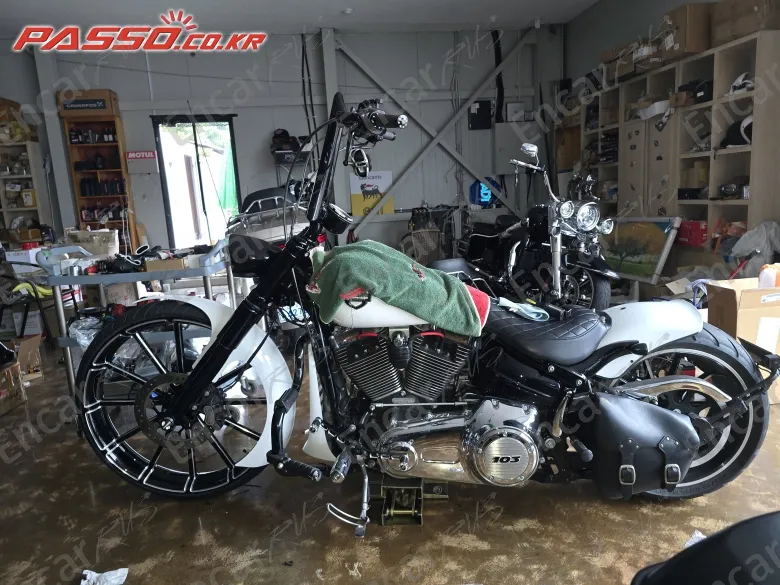 HARLEY-DAVIDSON BREAKOUT - фото 1