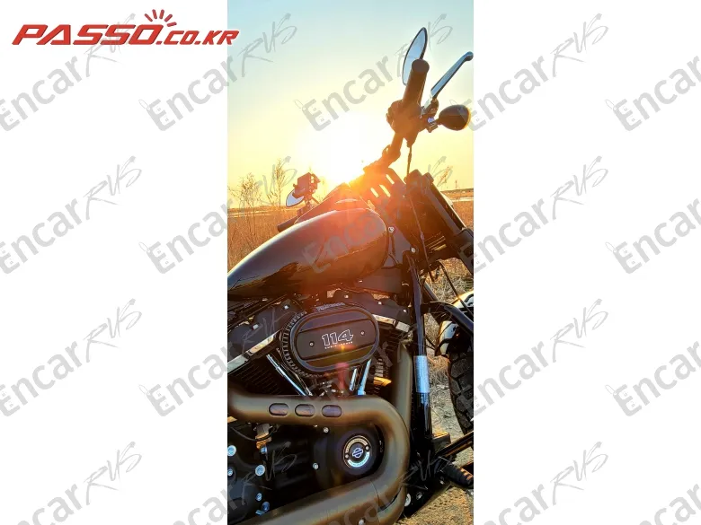 HARLEY-DAVIDSON FAT BOB 114 - фото 3