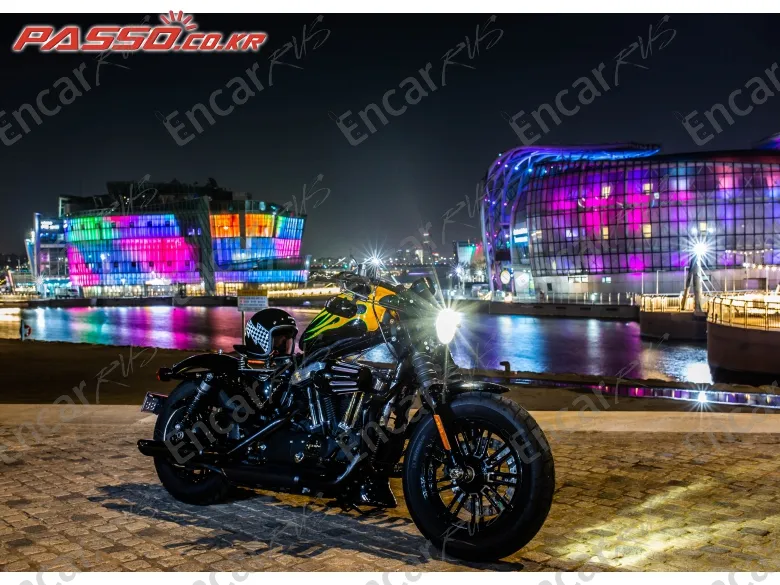 Harley-Davidson Xl 1200 X Forty Eight 48 - фото 4