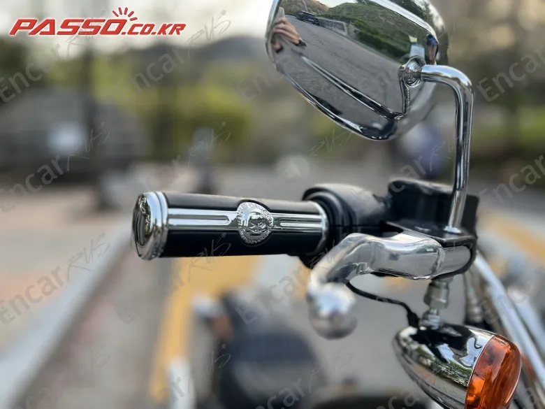 Harley-Davidson Softail Standard - фото 3