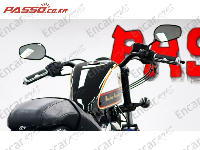Harley-Davidson Xl 1200 X Forty Eight 48 - фото 3