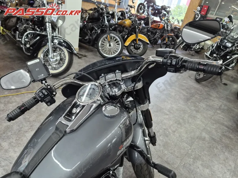 Harley-Davidson Sport Glide - фото 3