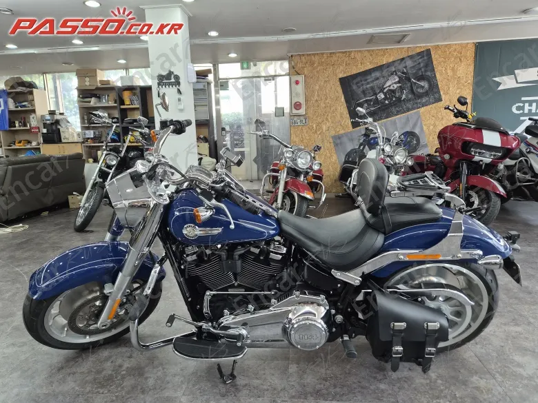 HARLEY-DAVIDSON FAT BOY 114 - фото 1