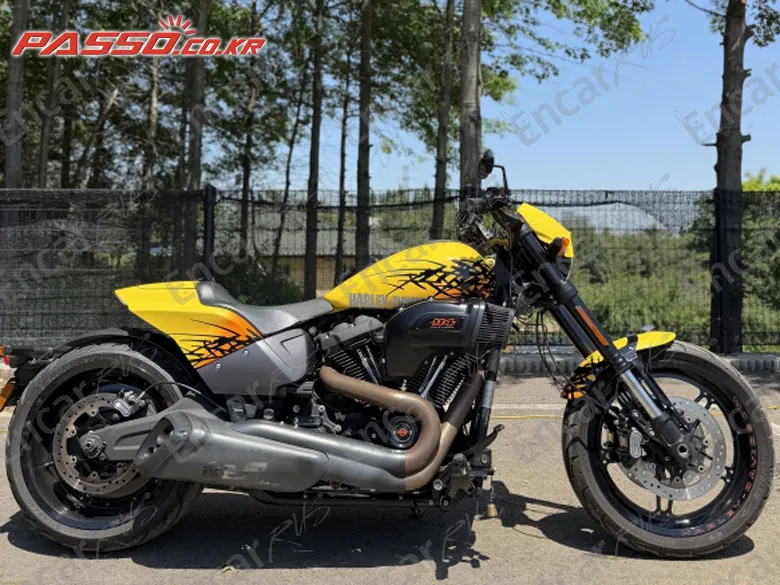Harley-Davidson Fxdr 114 - фото 0