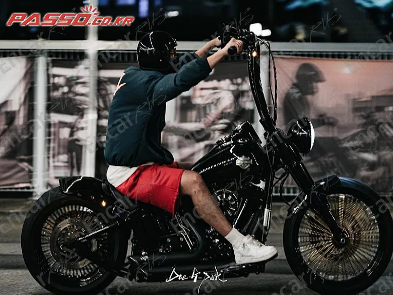 Harley-Davidson Softail Slim - фото 1