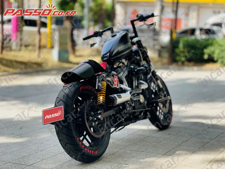 Harley-Davidson Roadster 1200 - фото 2