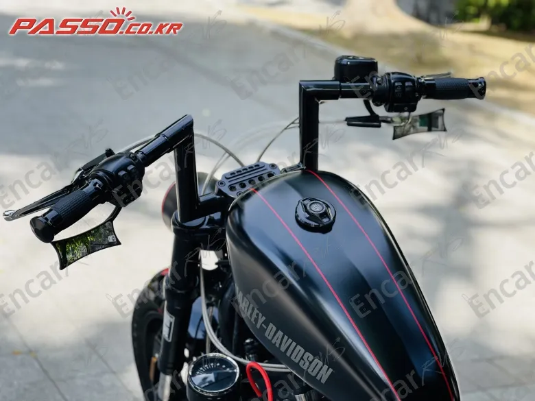 Harley-Davidson Roadster 1200 - фото 3