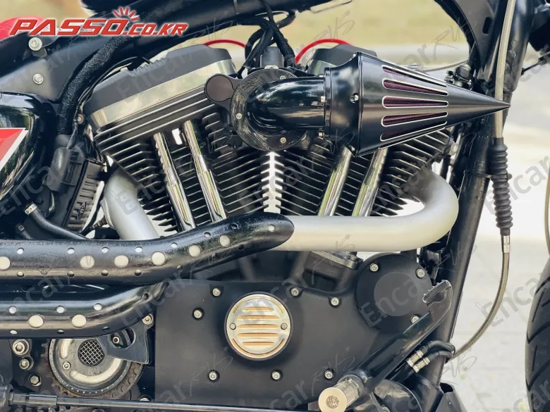 Harley-Davidson Roadster 1200 - фото 4