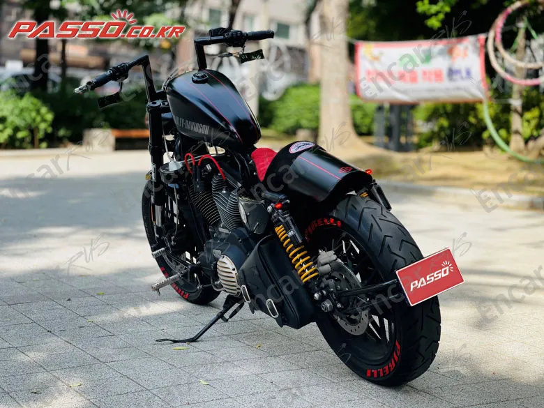 Harley-Davidson Roadster 1200 - фото 5
