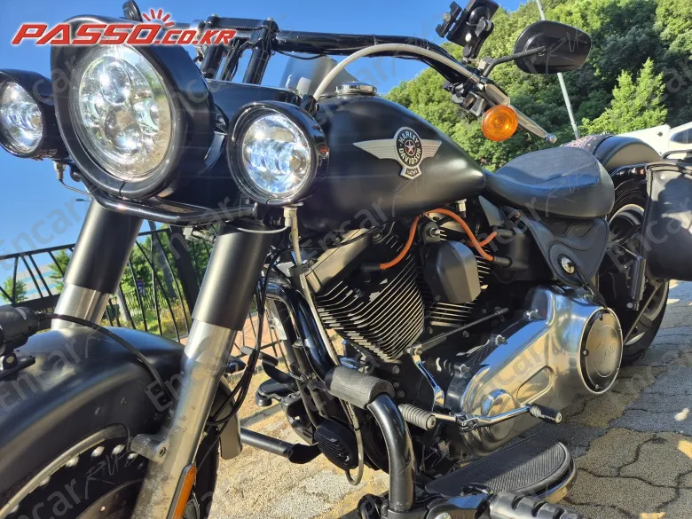 HARLEY-DAVIDSON FLSTFB - фото 3