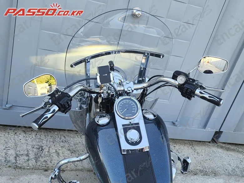 HARLEY-DAVIDSON FLSTF - фото 3