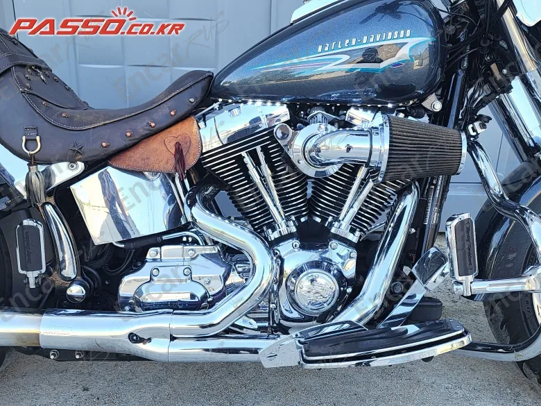 HARLEY-DAVIDSON FLSTF - фото 4