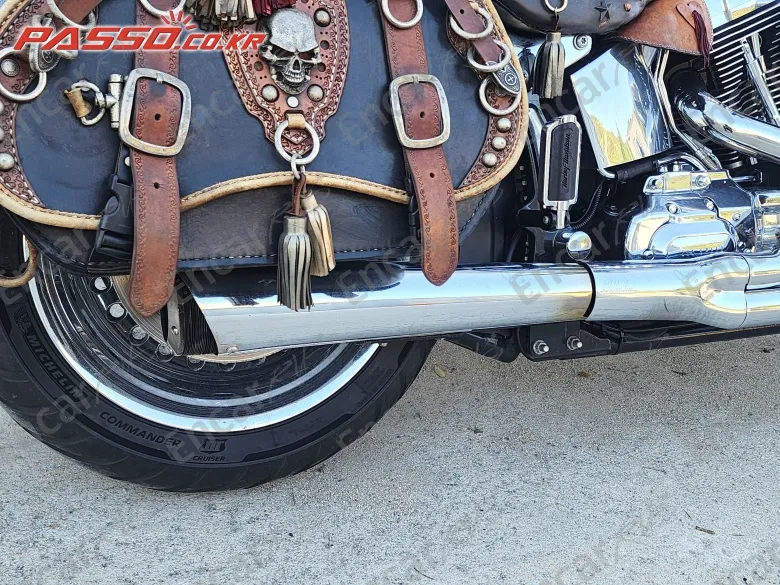 HARLEY-DAVIDSON FLSTF - фото 6
