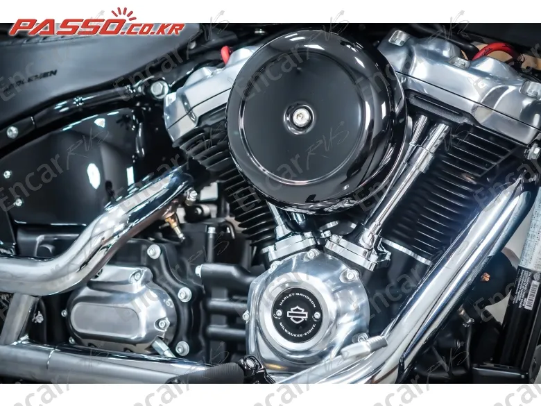 HARLEY-DAVIDSON SOFTAIL STANDARD - фото 4