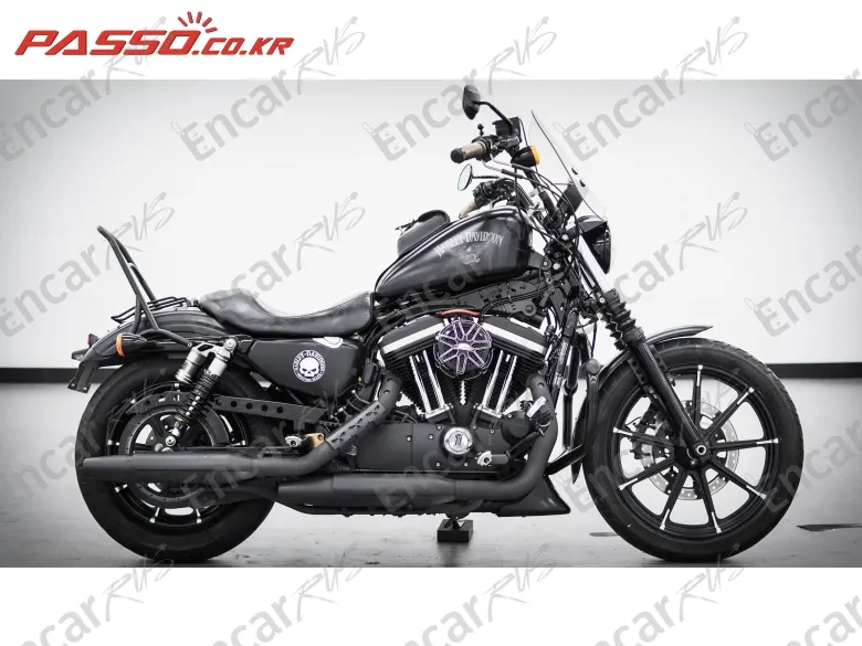Harley-Davidson Xl 883 N - фото 0