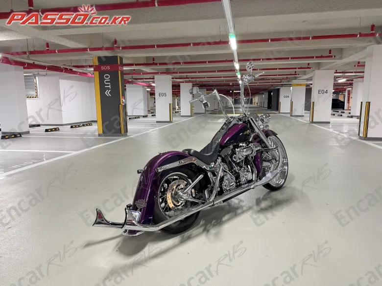 HARLEY-DAVIDSON FLSTN - фото 6