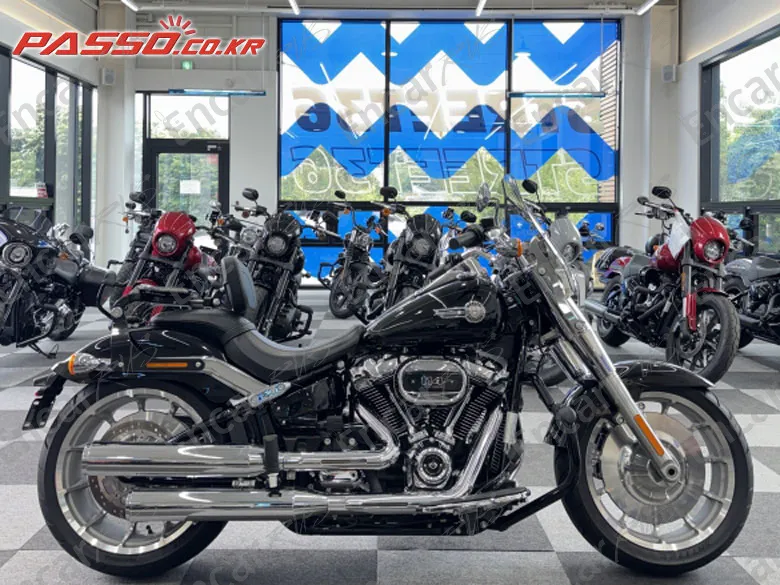 HARLEY-DAVIDSON FAT BOY 114 - фото 0