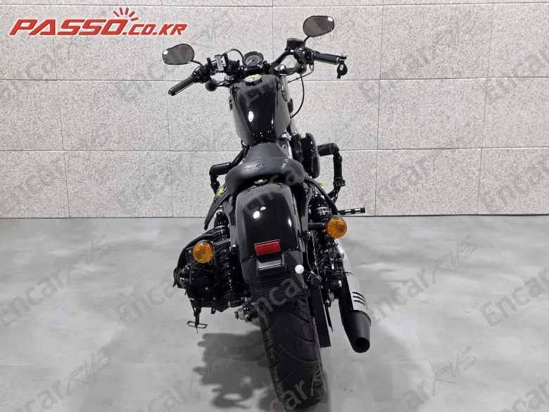 Harley-Davidson Xl 1200 X Forty Eight 48 - фото 2