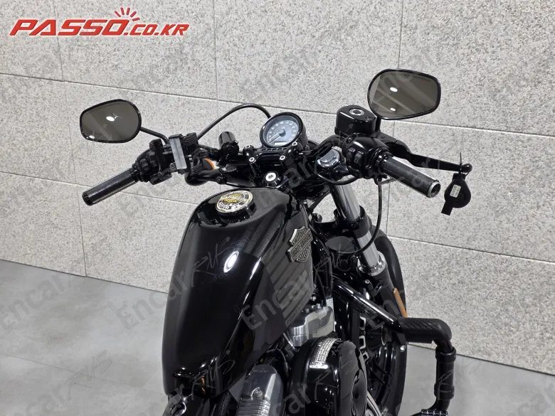 Harley-Davidson Xl 1200 X Forty Eight 48 - фото 3