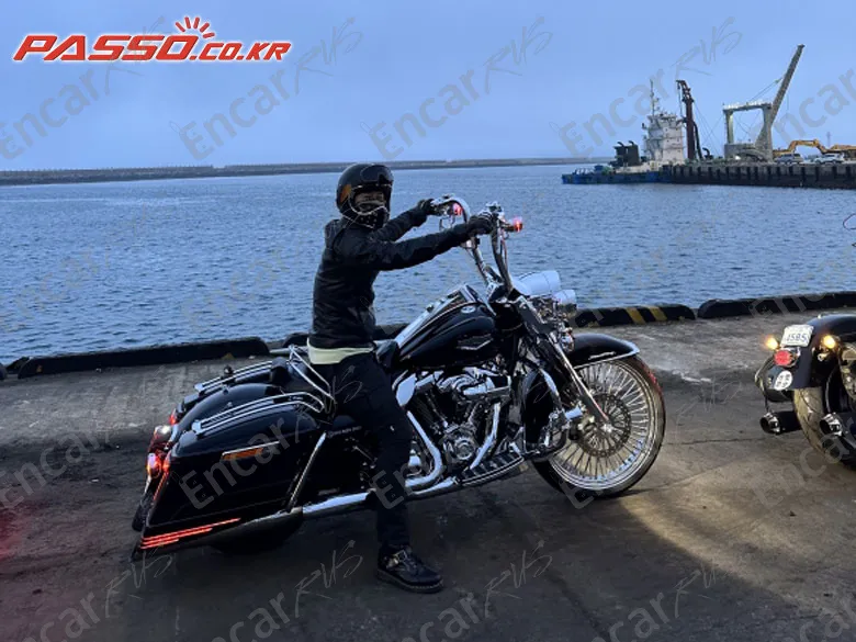 Harley-Davidson Flhr - фото 0