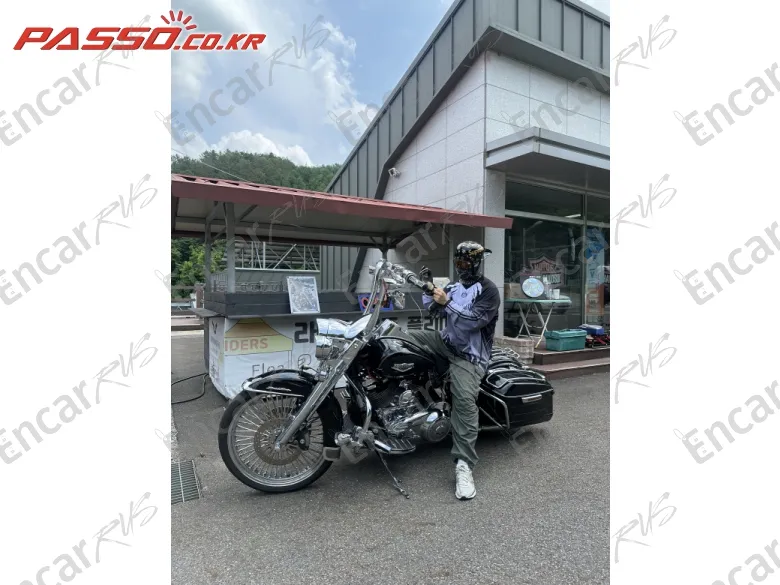 Harley-Davidson Flhr - фото 1