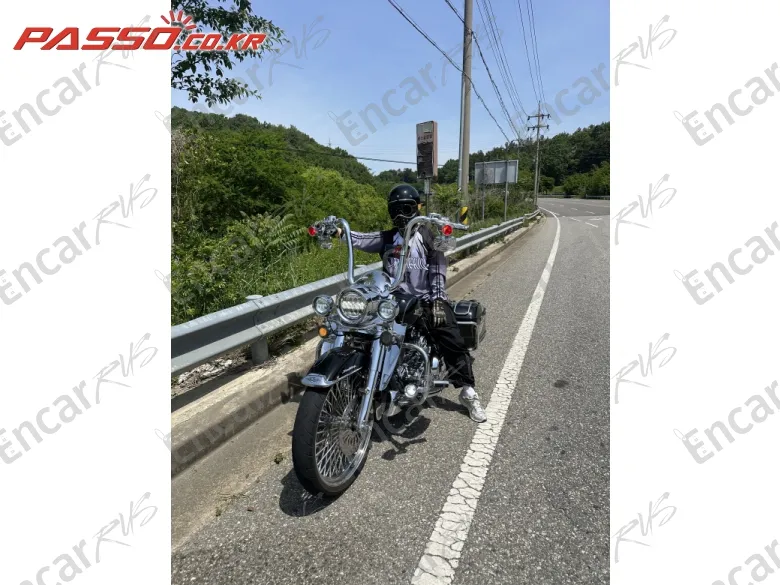 Harley-Davidson Flhr - фото 2
