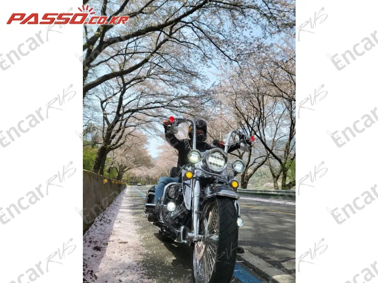 Harley-Davidson Flhr - фото 4
