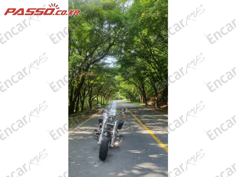 Harley-Davidson Fat Boy 114 - фото 5