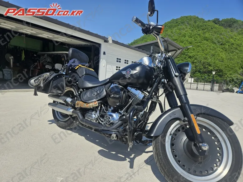 Harley-Davidson Flstfb - фото 3