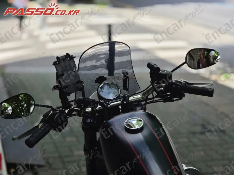 Harley-Davidson Roadster 1200 - фото 3