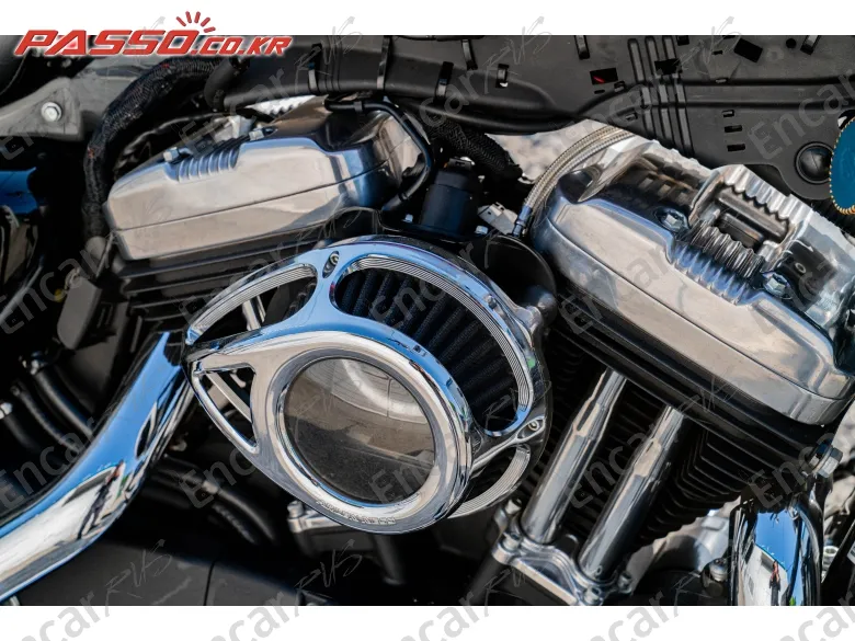 Harley-Davidson Xl 1200 X Forty Eight 48 - фото 4