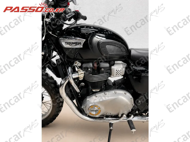 Triumph Bonneville T100 - фото 4