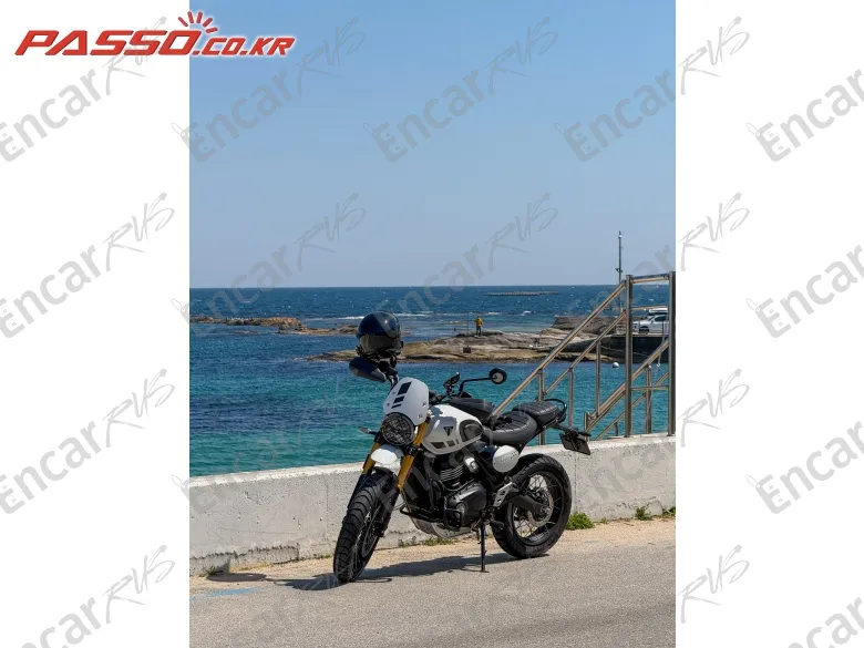 Triumph Scrambler 400 X - фото 1