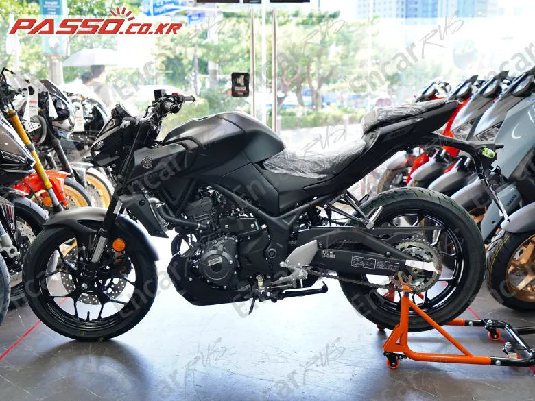 Yamaha MT 03 - фото 1