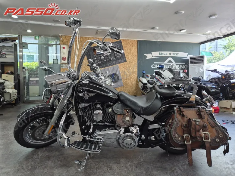 Harley-Davidson Flstf - фото 1