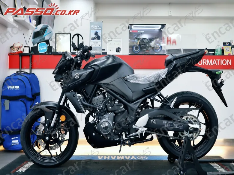 Yamaha MT 03 - фото 1