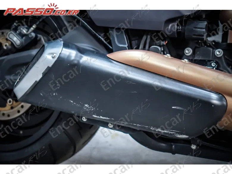 Harley-Davidson Fxdr 114 - фото 6