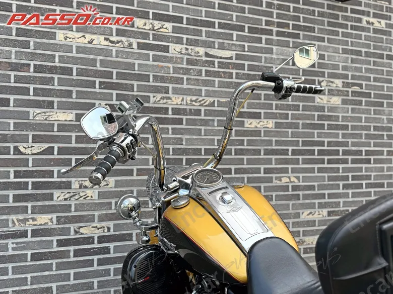 Harley-Davidson Flhr - фото 3