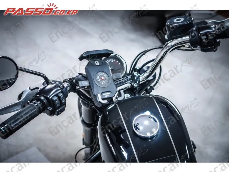 Harley-Davidson Roadster 1200 - фото 3